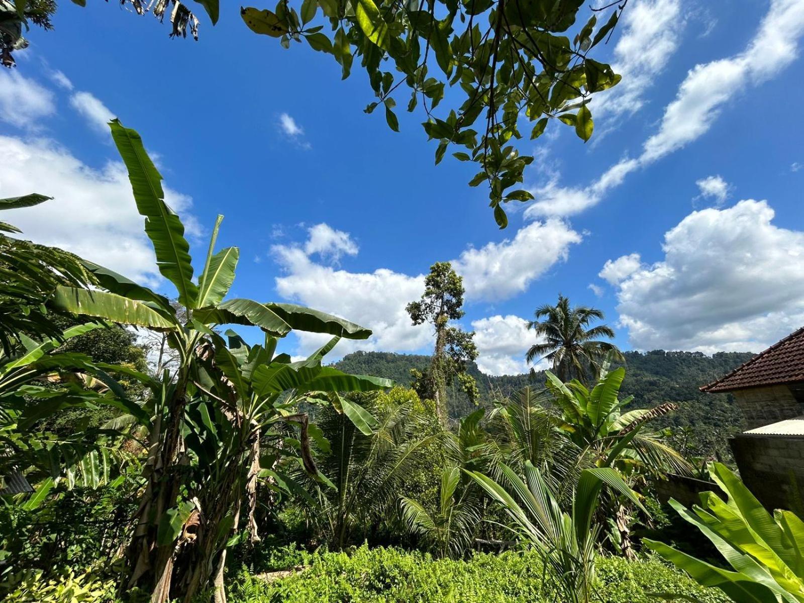 Buntera Homestay Sidemen Sidemen  Exterior photo