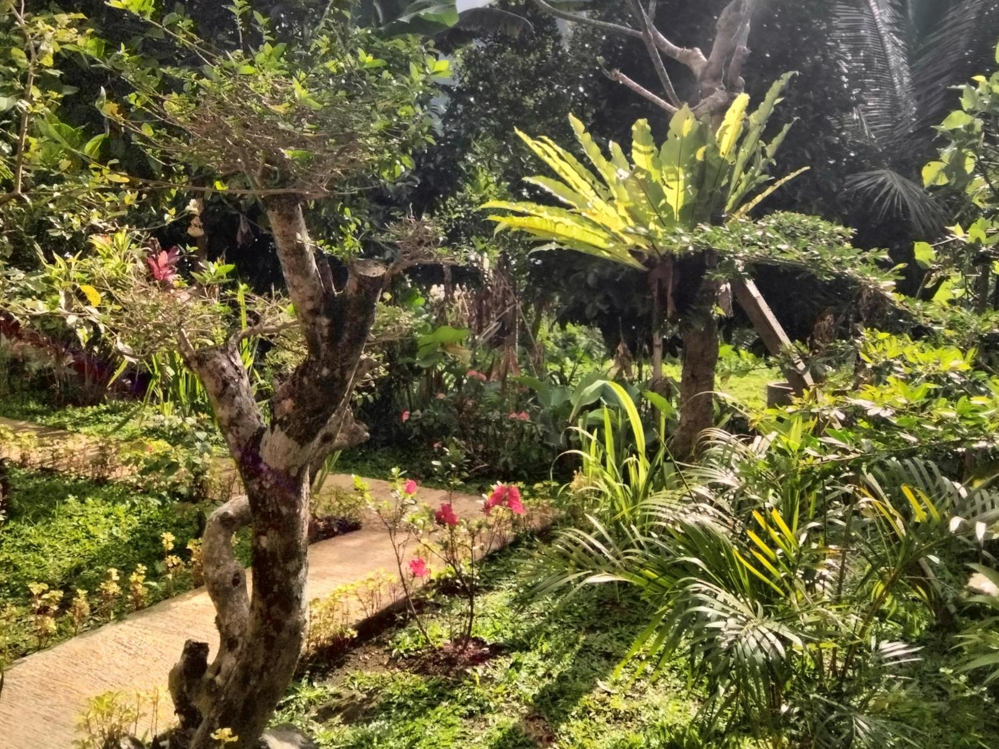 Buntera Homestay Sidemen Sidemen  Exterior photo