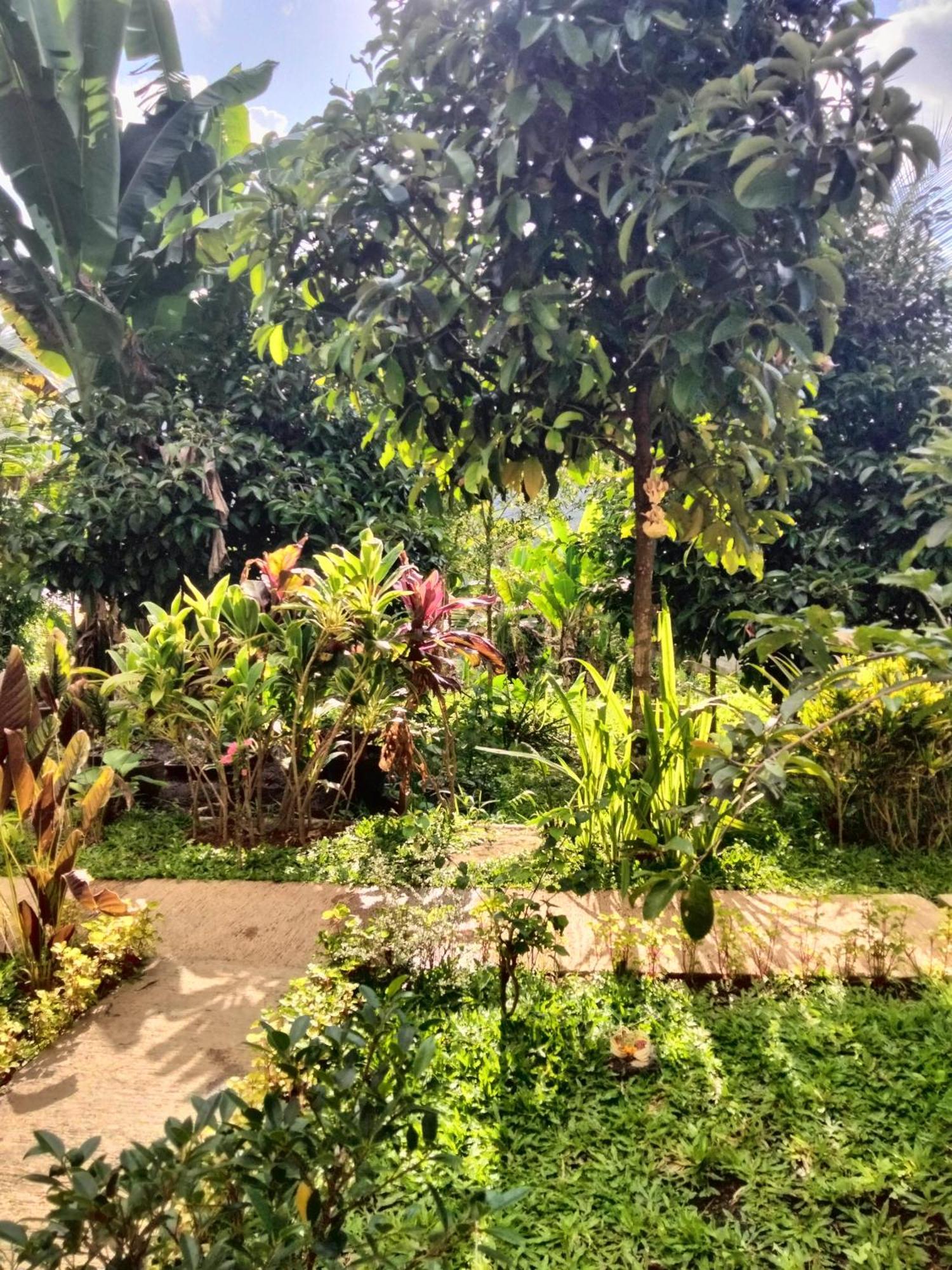 Buntera Homestay Sidemen Sidemen  Exterior photo