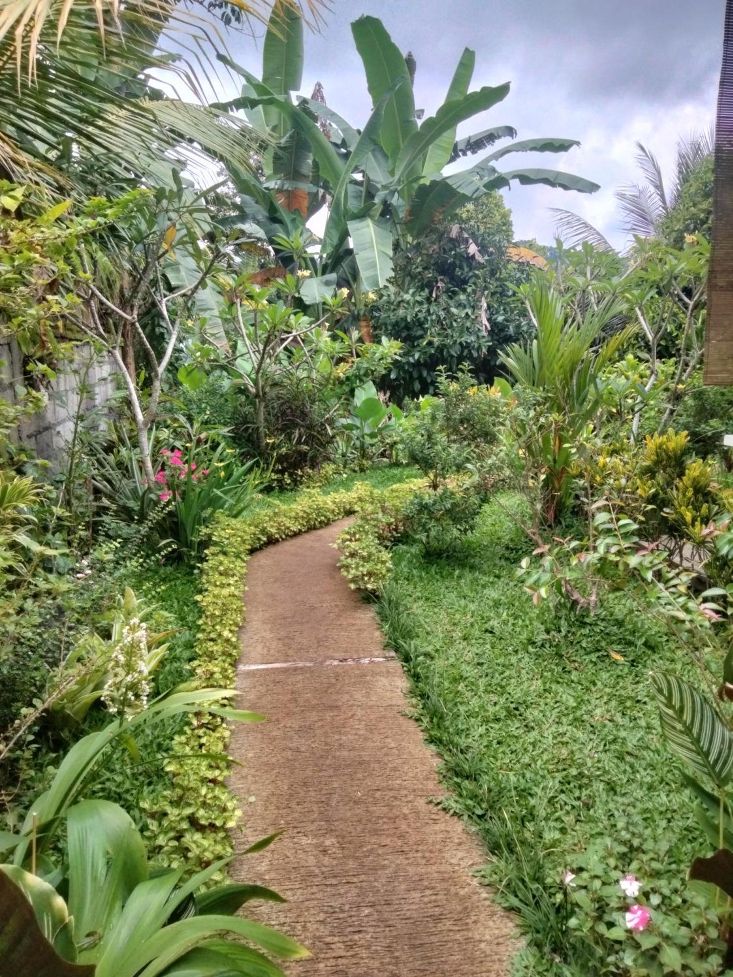 Buntera Homestay Sidemen Sidemen  Exterior photo