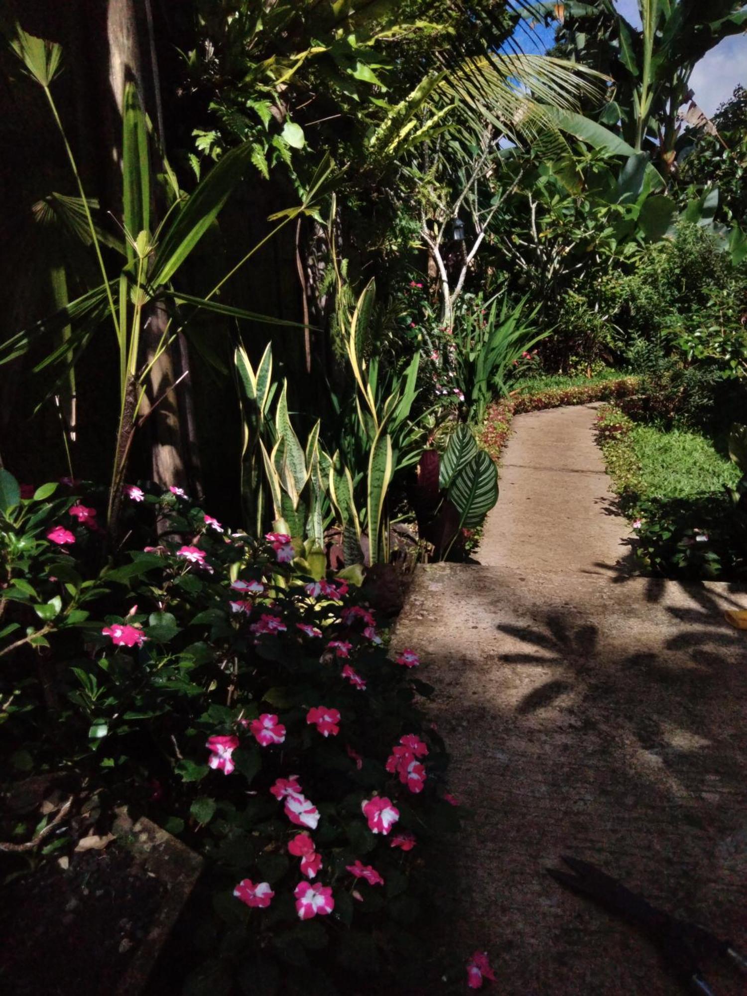 Buntera Homestay Sidemen Sidemen  Exterior photo